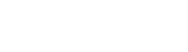 Logo datoriq